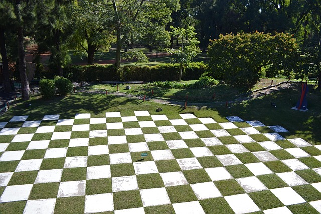 Free Yard Zen photo and picture