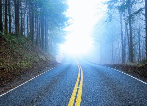 Free Road Foggy photo and picture
