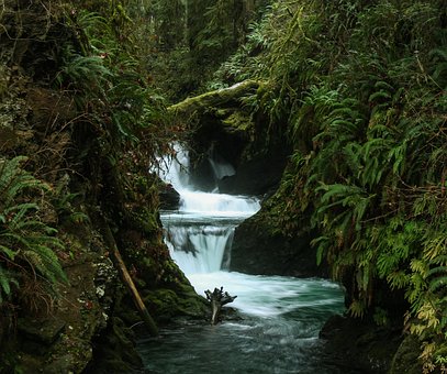 Free Waterfall Rain photo and picture