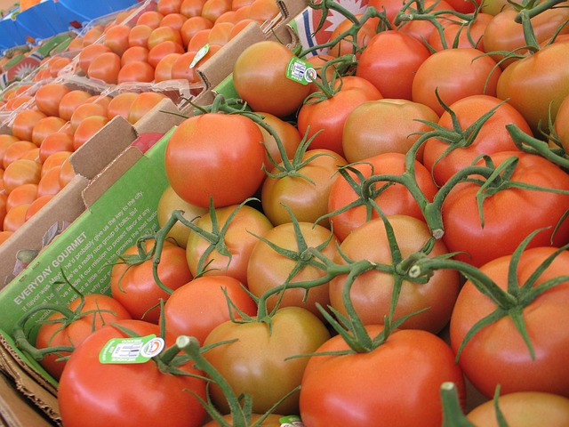 Free Tomatoes Vegetables photo and picture