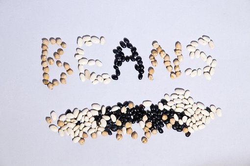 Free Beans Garbanzo photo and picture