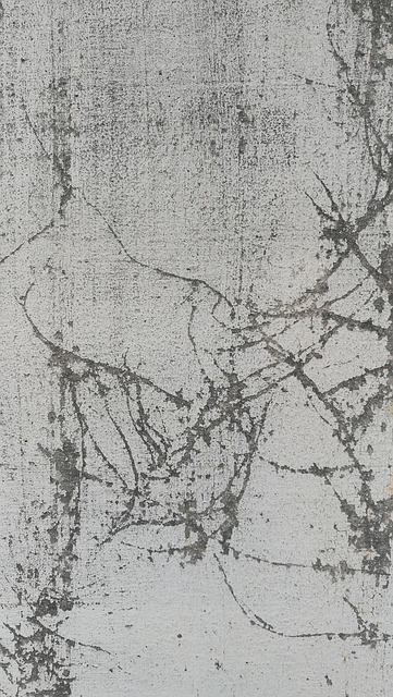 Free Background Grunge photo and picture