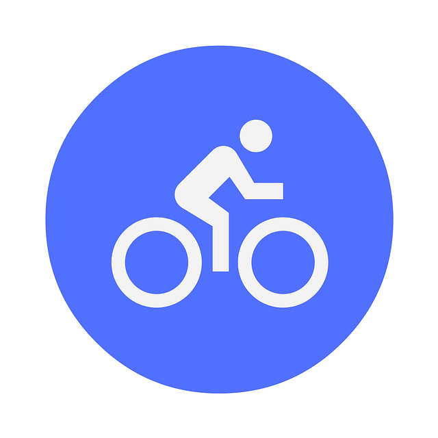 Free travel bike map illustration