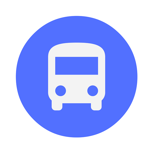 Rejse, Bus, Vej, Offentlig, Transport