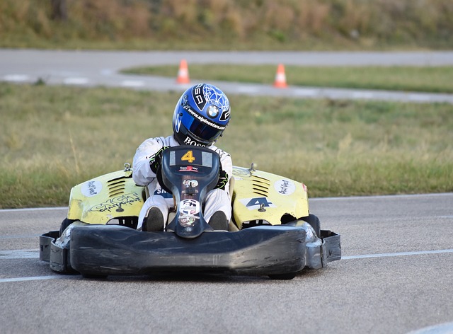 Free Go Kart Kart Race photo and picture