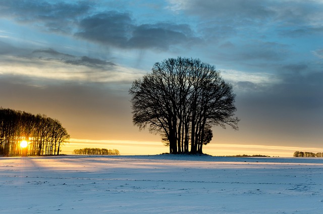 Free Winter East photo and picture