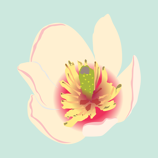 Free michelia figo smile-mei banana flower vector