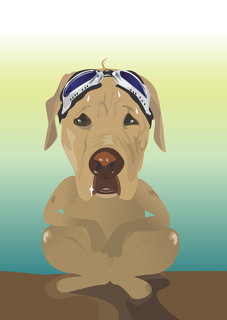 O Limitado, Cão, Animal De Estimação