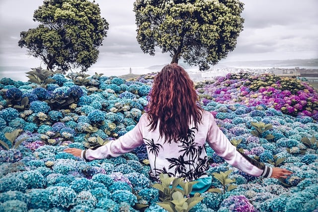 Free purposes life world illustration