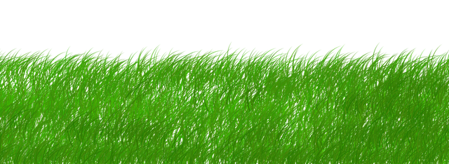 Free green ecology echo illustration