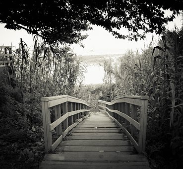 Brücke, Leben, Schwarz Und Weiß