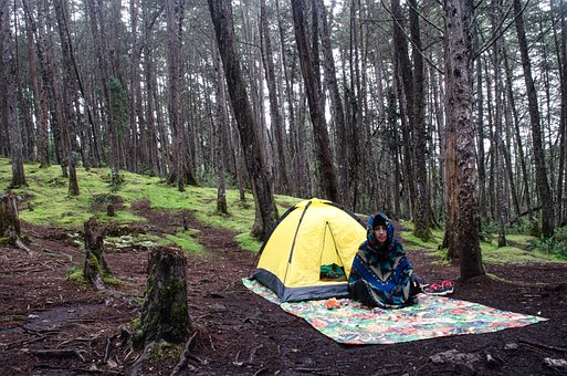 Free Camping Picnic photo and picture