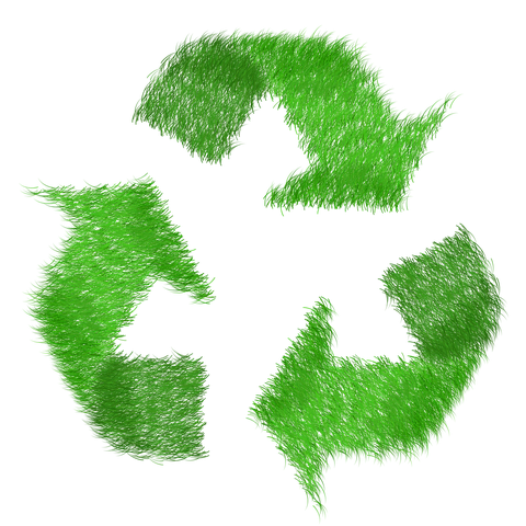 100+ Free Echo & Sustainability Images - Pixabay