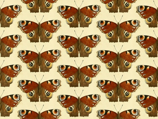 Free butterfly butterflies insects illustration