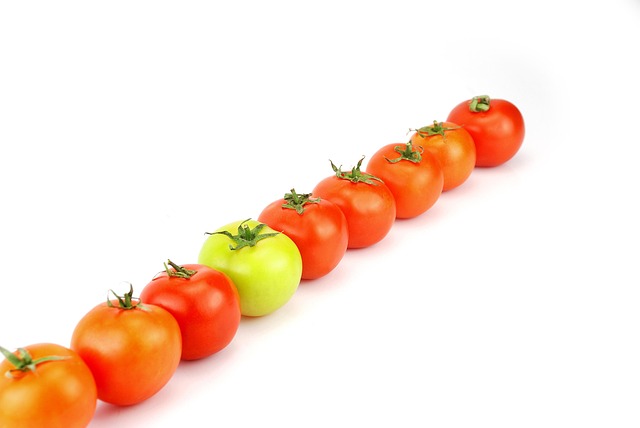 Free Que Tomato photo and picture