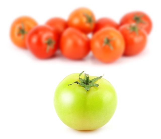 Free Tomato Food photo and picture