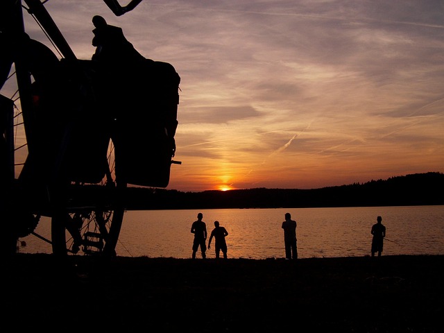 Free Bicycle Nature photo and picture
