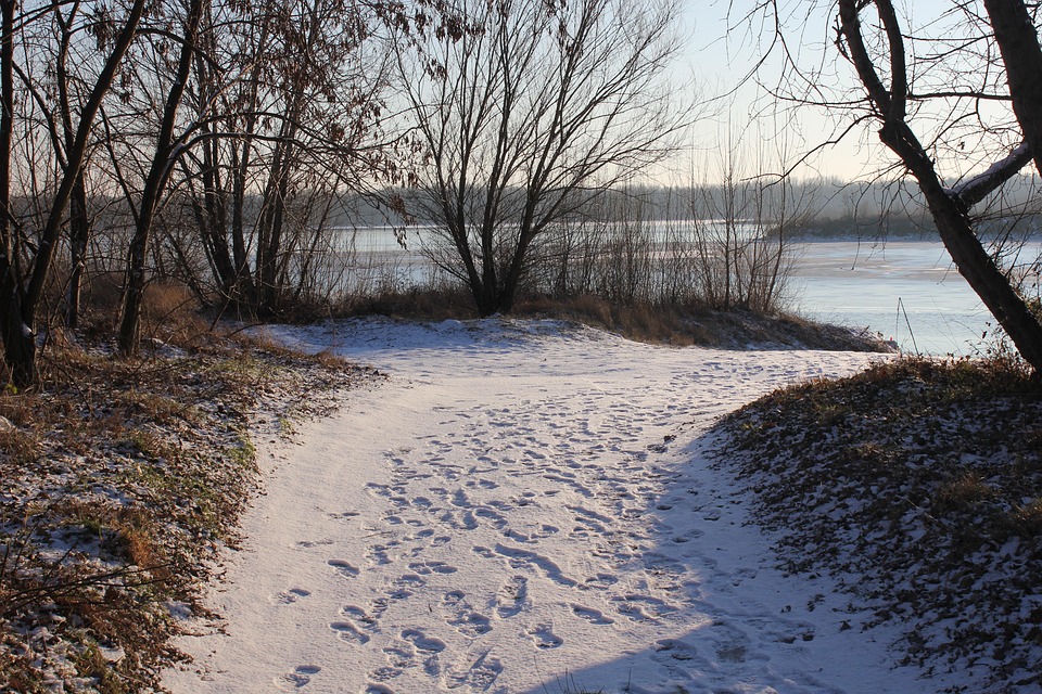 Snow Running Way Way Snow Tracks - Free photo on Pixabay