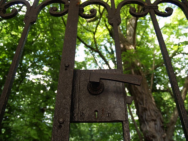 Free Gate Castle photo and picture