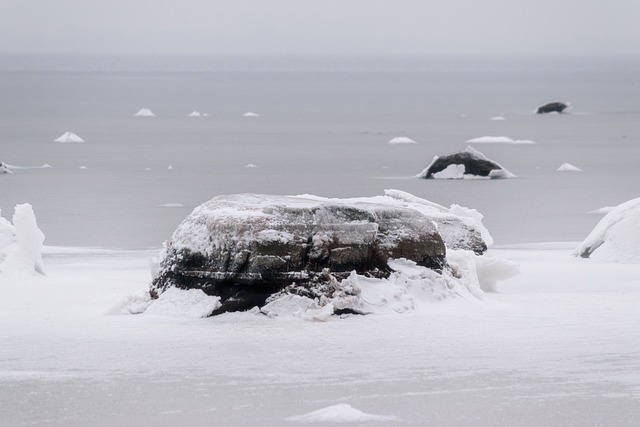 Free Water Lake photo and picture