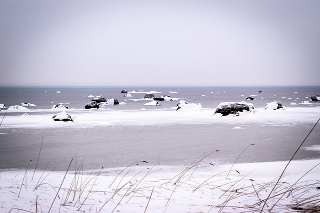 Free Water Lake photo and picture