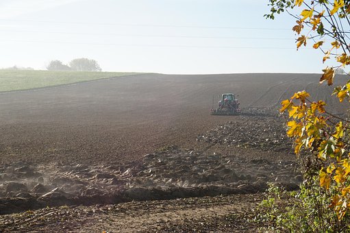 Free Seed Fields photo and picture