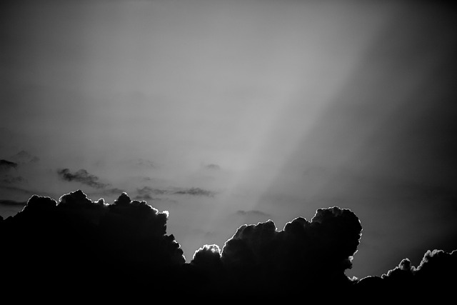 Free Sun Rays photo and picture