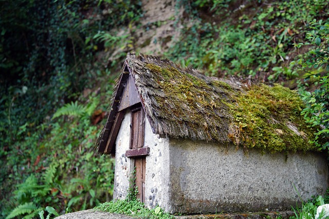 Free Hut Model photo and picture