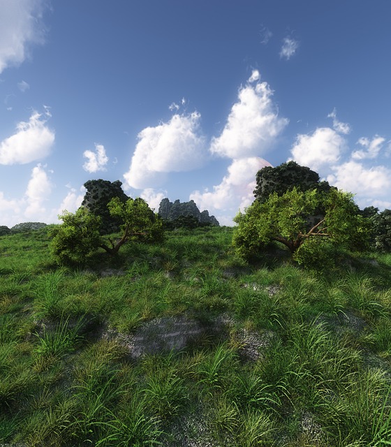 Natuur, Landschap, Wolk, Bomen