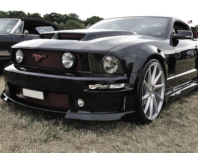 Free Sports Car Mustang photo and picture