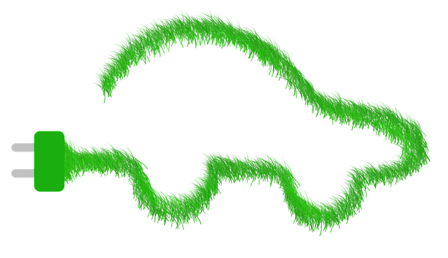 Free green direction grass illustration