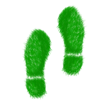 steps, feet, fingerprint