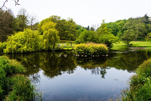 Free Lake Still photo and picture