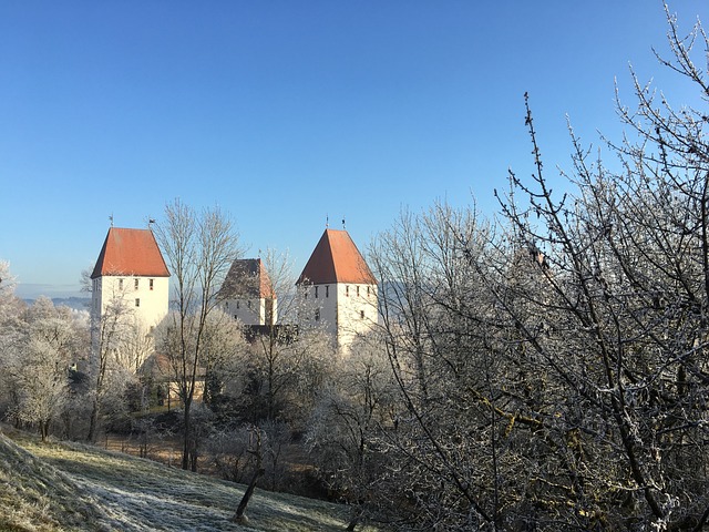 Free Neuburg Hoarfrost photo and picture