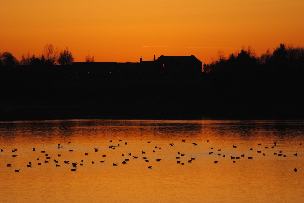 Dusk - free online jigsaw puzzle photo