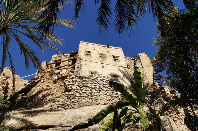 Free Village Oasis photo and picture