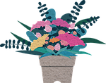 flower illustration, potted plant, carnation