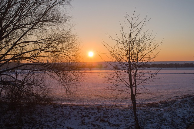 Free Winter Sunset photo and picture