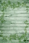 on wood, green, nature