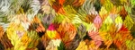 banner, abstract, background