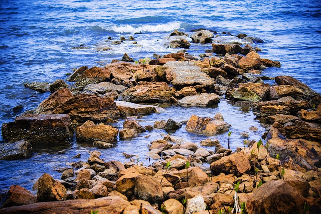 Zee, Rotsen, Cliff, Costa, Landschap