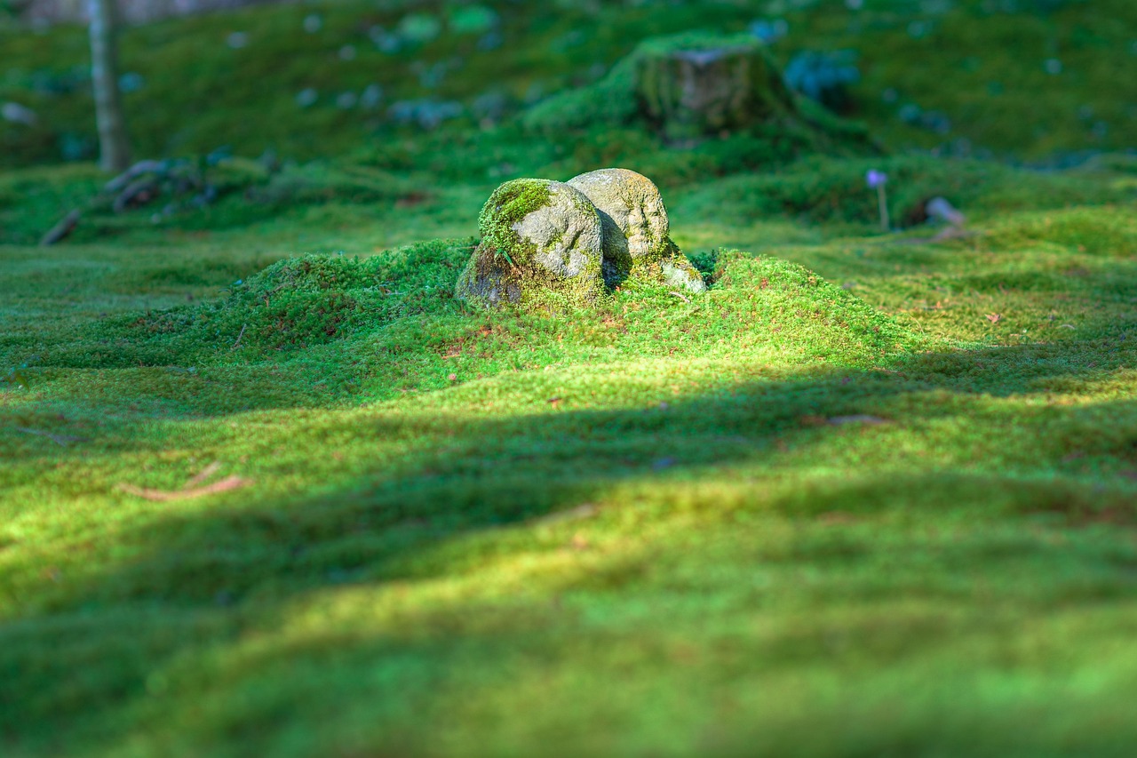 https://cdn.pixabay.com/photo/2017/01/13/07/55/jizo-1976581_1280.jpg