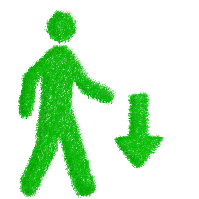 Free echo environmentally sustainable ecology illustration