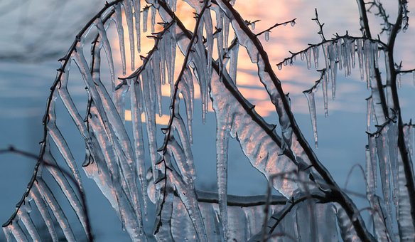 Free Icicle Light photo and picture