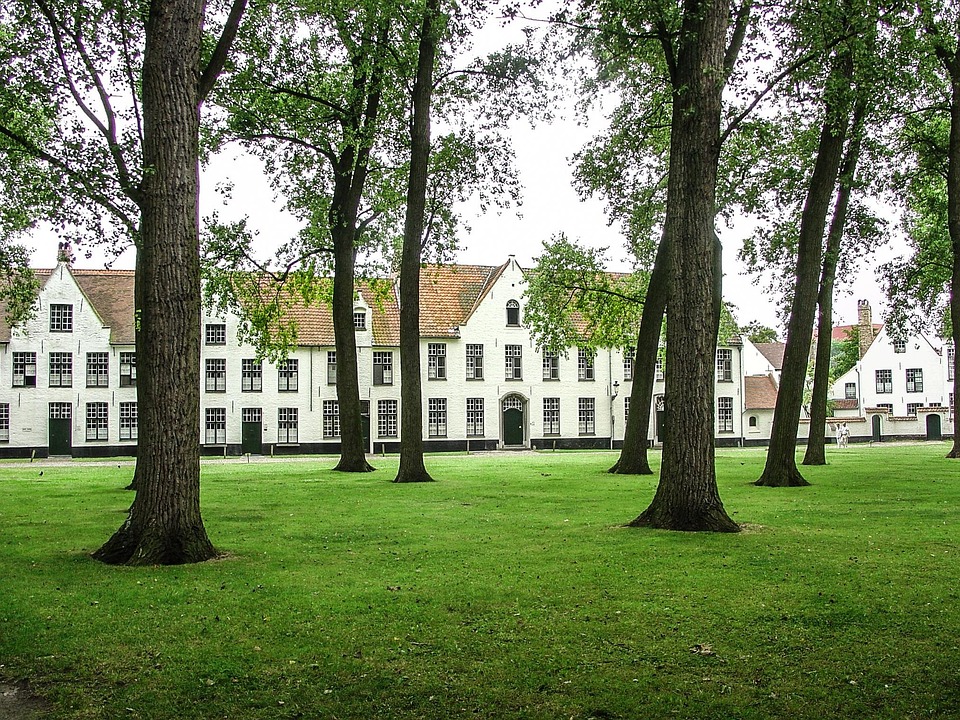 De Wijngaard, Brujas