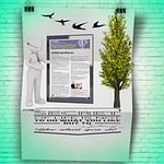 newsletter, news, notification
