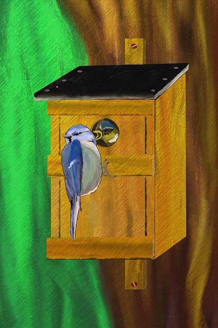 Free blue tit nesting box nesting place illustration