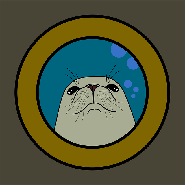 Foca, Mar, Naturaleza, Animales Salvajes