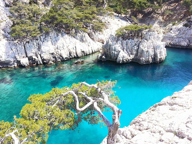 Free Creeks Sea photo and picture