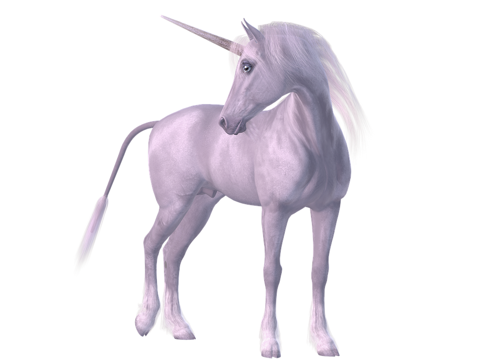 Unicorn Mythical Creatures Mane Free Image On Pixabay Unicorn Mythical Creatures Mane Free Image On Pixabay